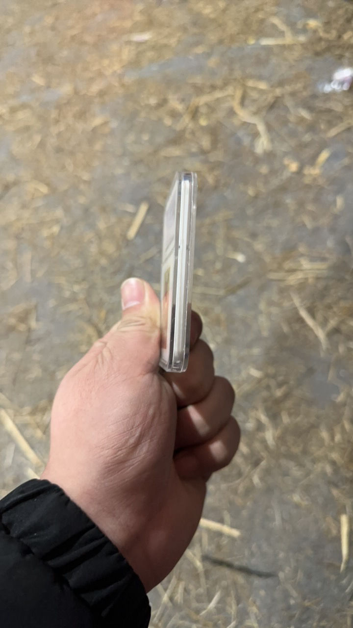 【闪购商品】61红一片摆件一个