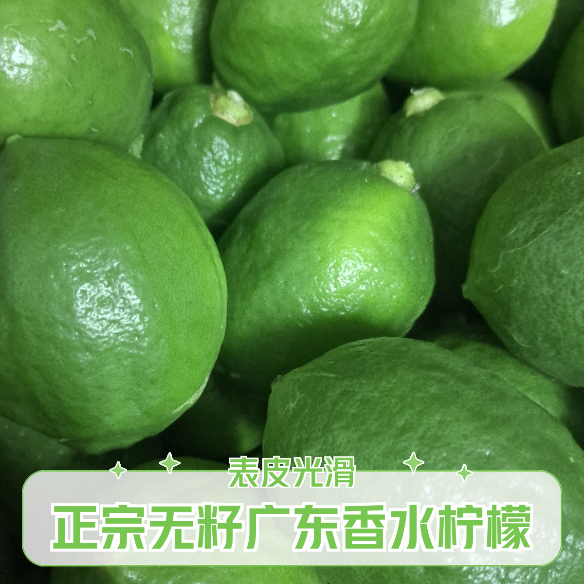 正宗无籽广东香水柠檬一级果，奶茶店专用！江门果场每天鲜发