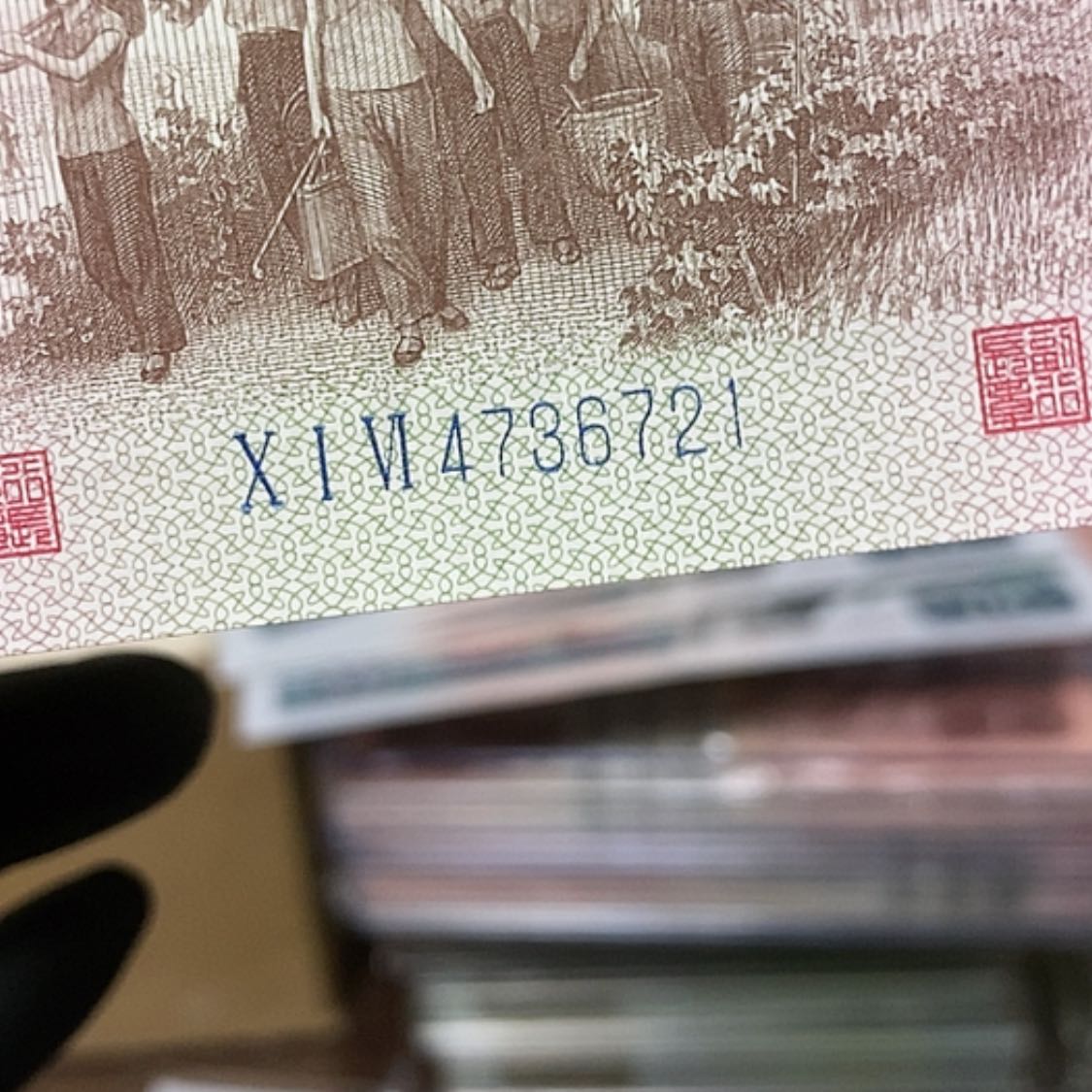 【闪购商品】科*下乡一角