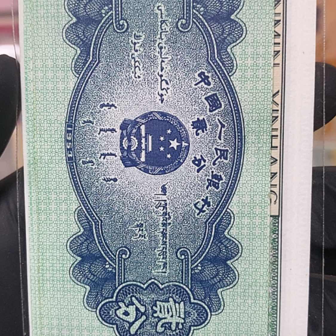 【闪购商品】鲨**e三色彩蝶