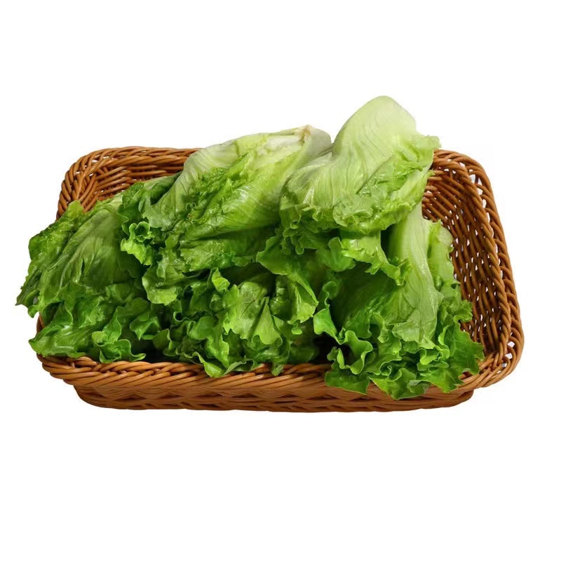 【山姆】      供港生菜 600g