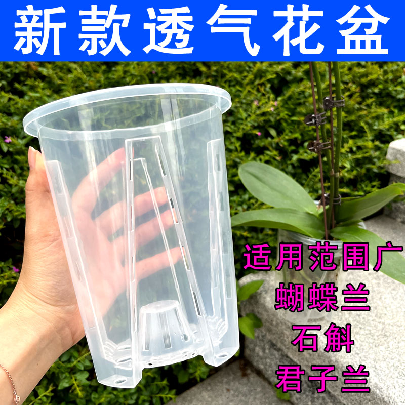 透明青山控根盆兰花水苔蝴蝶兰专用花盆塑料透气镂空加厚花盆家用