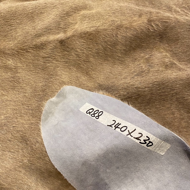 【本尼家】Q88 专拍240*230巴西进口整张牛皮地毯轻奢