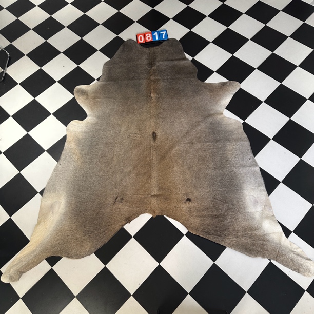 【本尼家】Q817 270*240巴西进口整张牛皮地毯轻奢