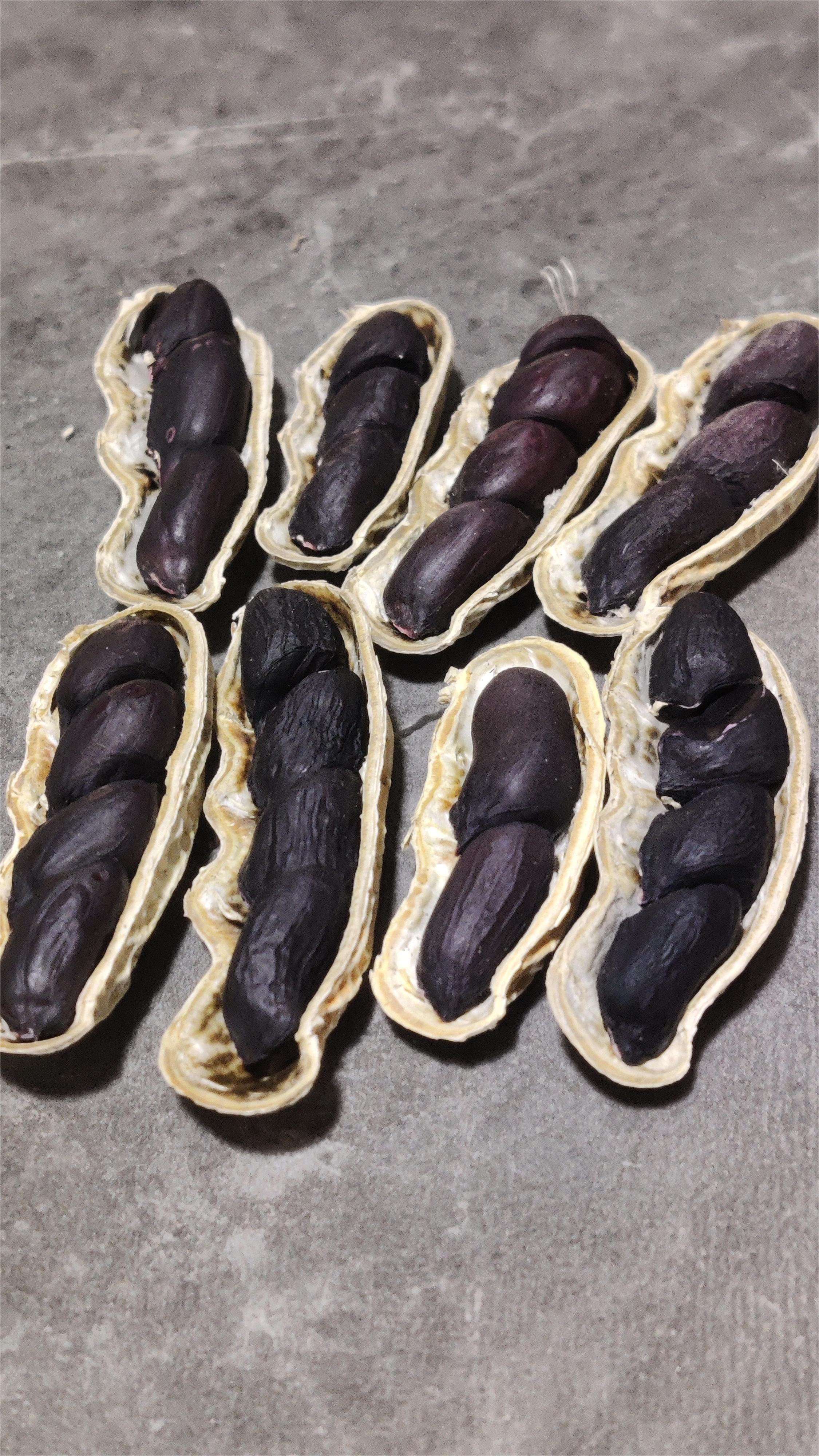 云南正宗2025富硒自然生长黑皮花生农家种植软糯香甜高品质山货