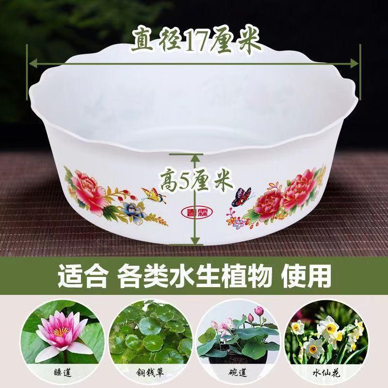 新疆包邮【小扬哥推荐】加厚塑料碗莲盆 睡莲盆 水仙花盆水培铜钱
