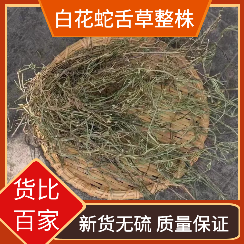 精选野生白花蛇舌草整株白花蛇舌草乌骨白花蛇舌草500g新货非甘草