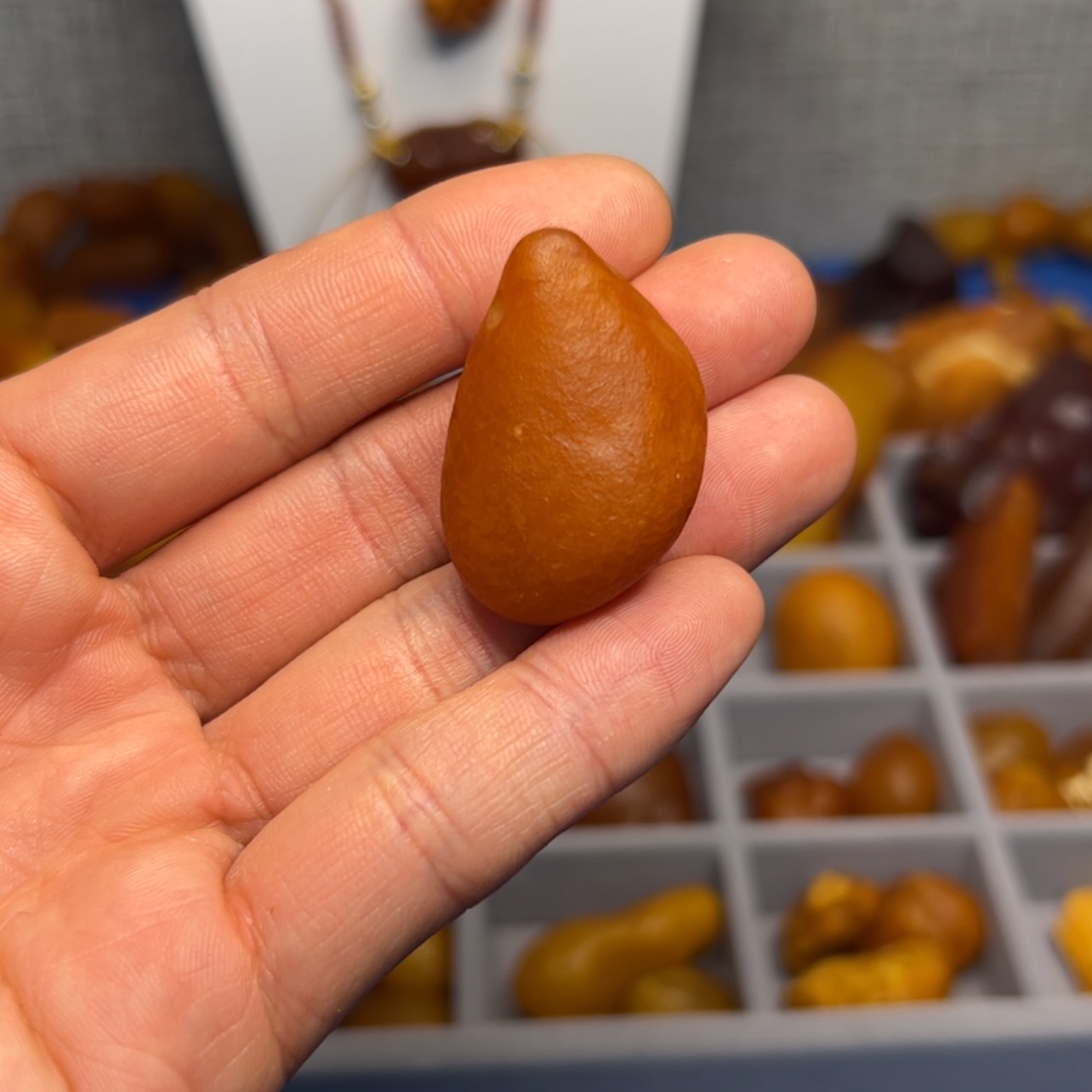 【闪购商品】琥珀颈饰未镶嵌