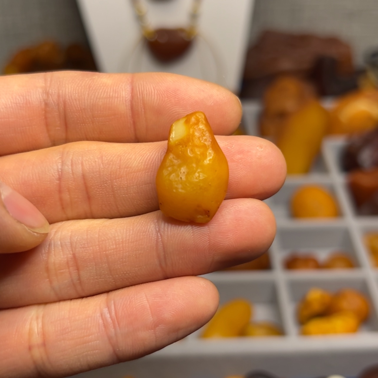 【闪购商品】琥珀颈饰未镶嵌