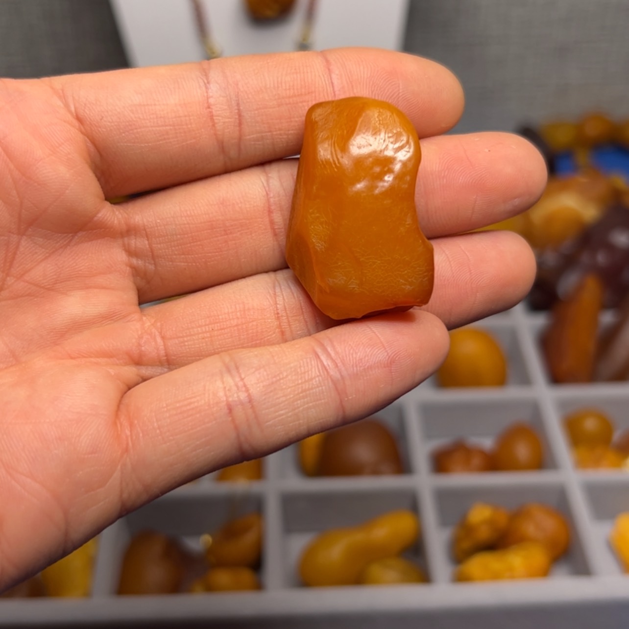 【闪购商品】琥珀颈饰未镶嵌