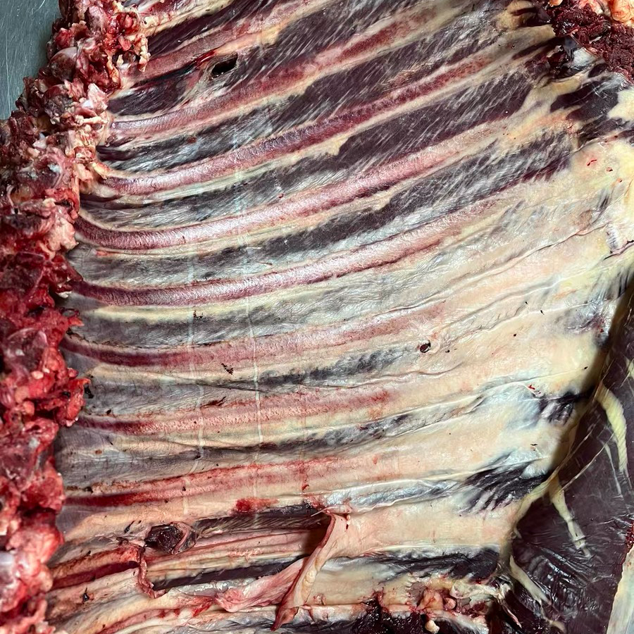 散养黄牛精品牛排5斤