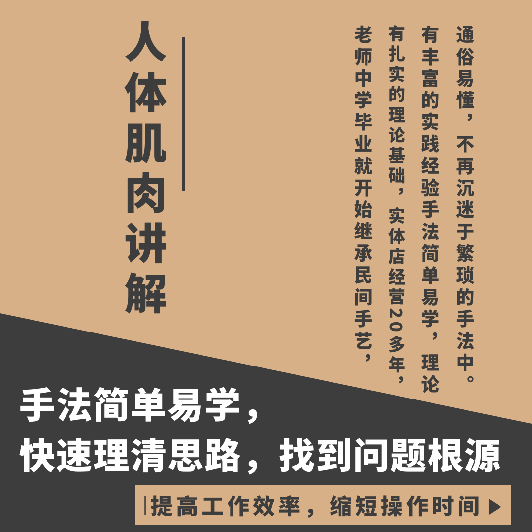 头颈部视频教学课件