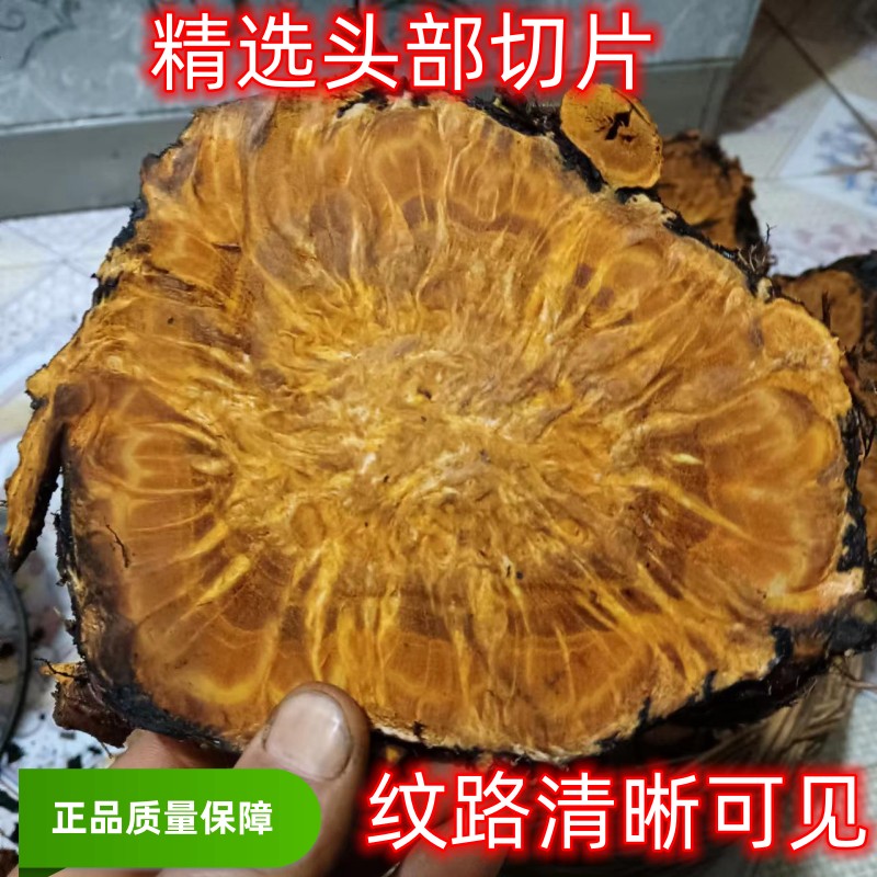 野生大黄甘肃野生唐古特大黄手工精选