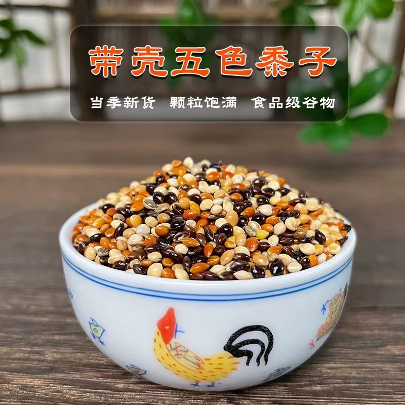 中小型鹦鹉鸟食五色混合黍子鹦鹉食粮饲料鹦鹉鸟食饲料虎皮鹦鹉