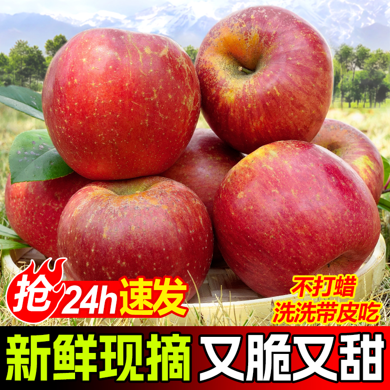 云南正宗现摘红苹果昭通冰糖心丑苹果新鲜大凉山脆甜水果产地直发