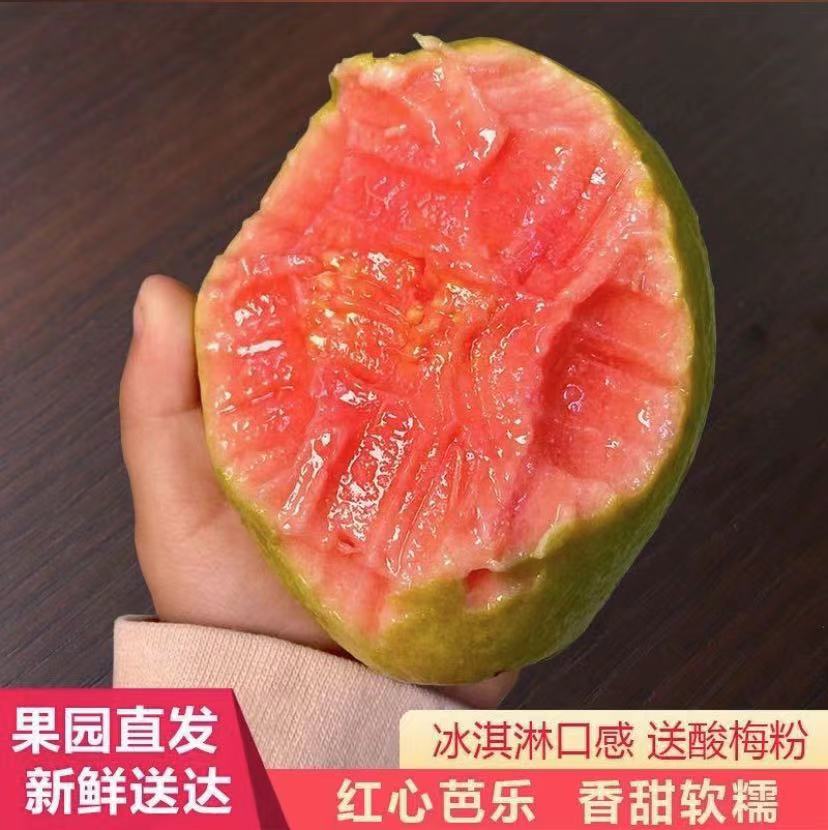 【香甜软糯】 广西软心红心芭乐老树番石榴新鲜水果软芭乐净重3/5斤