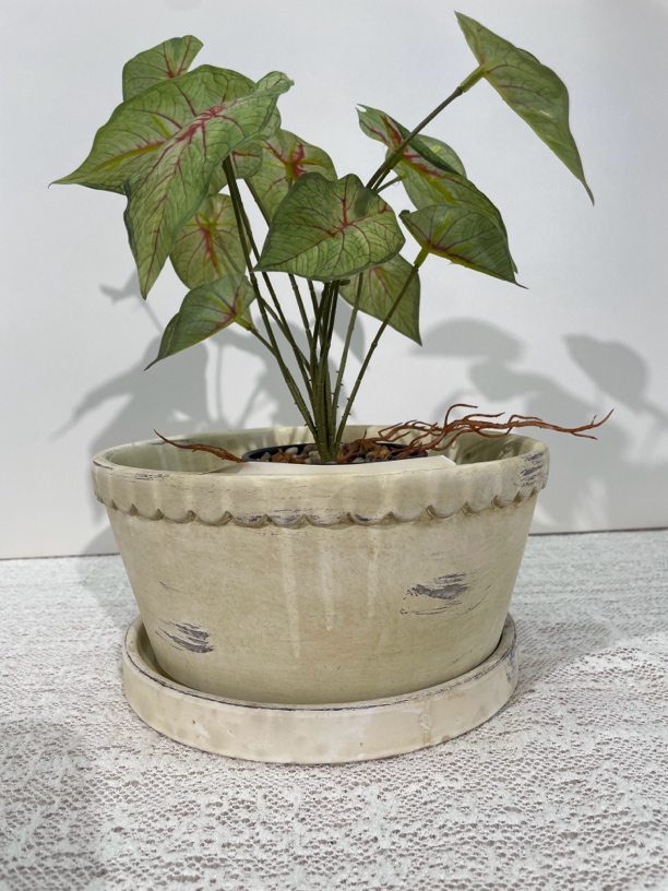 复古做旧灰白花盆矮宽盆多肉盆口径21*高度10