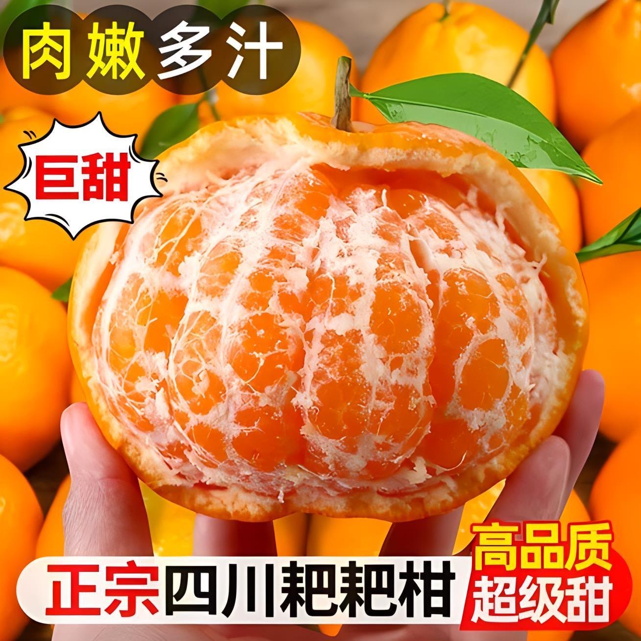 天然爆汁饱满四川耙耙柑橘子新鲜水果丑八怪当季榨汁香甜皮薄甜春