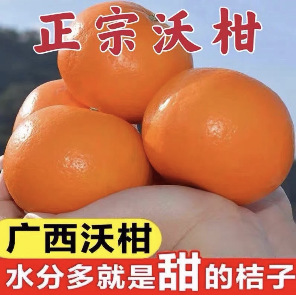 武鸣沃柑广西产地直发坏新鲜成熟皮薄发货薄皮采摘直供品质果包赔
