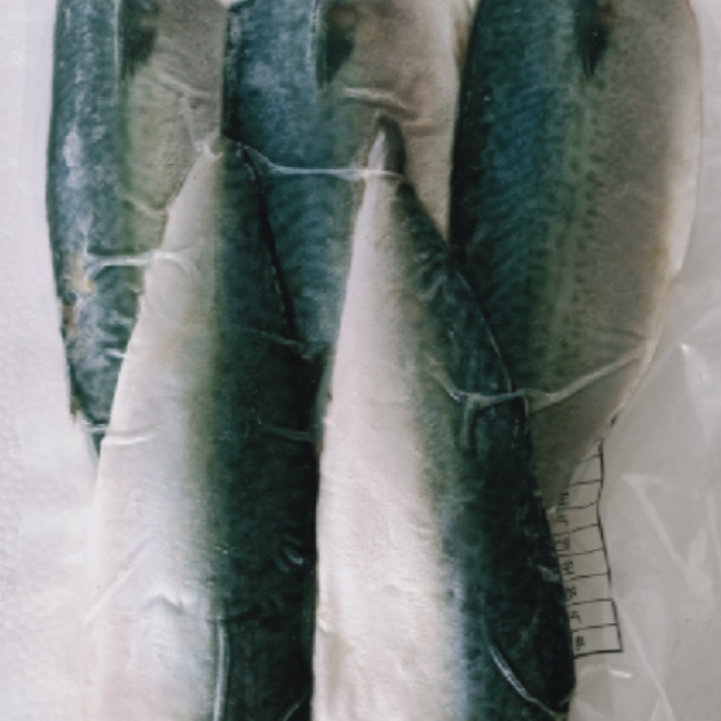 鲐鲅鱼片 360克/袋*5袋