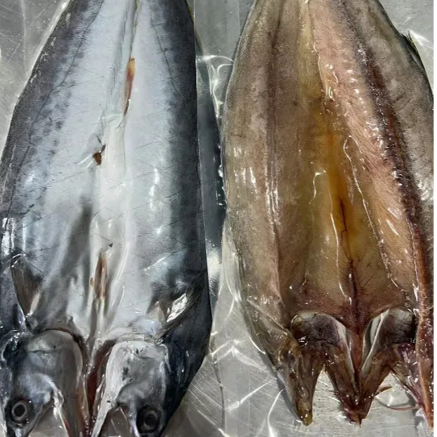 开片大连燕鲅鱼干免泡不咸