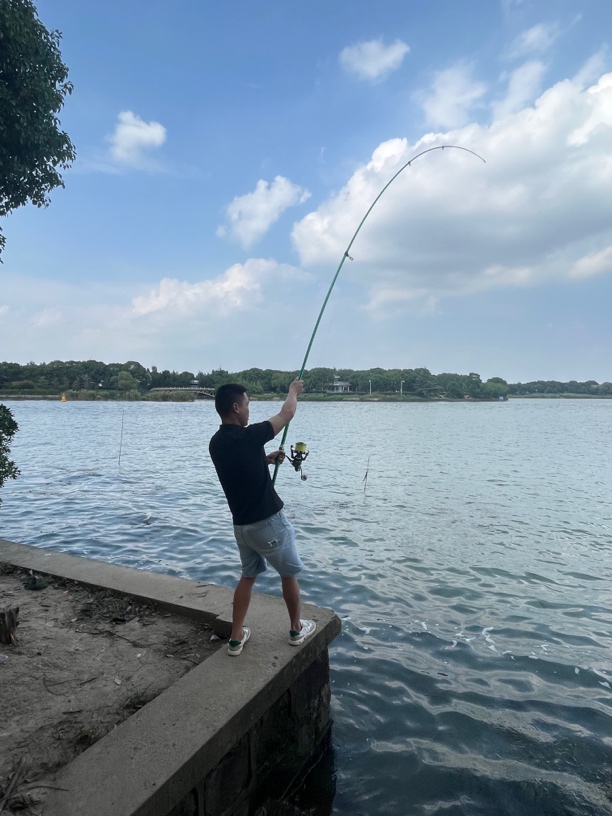 超级远投轻量化猛虎4.25米单杆