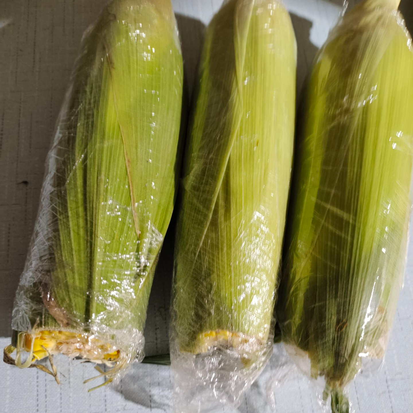 断头断尾水果玉米钓鱼专用