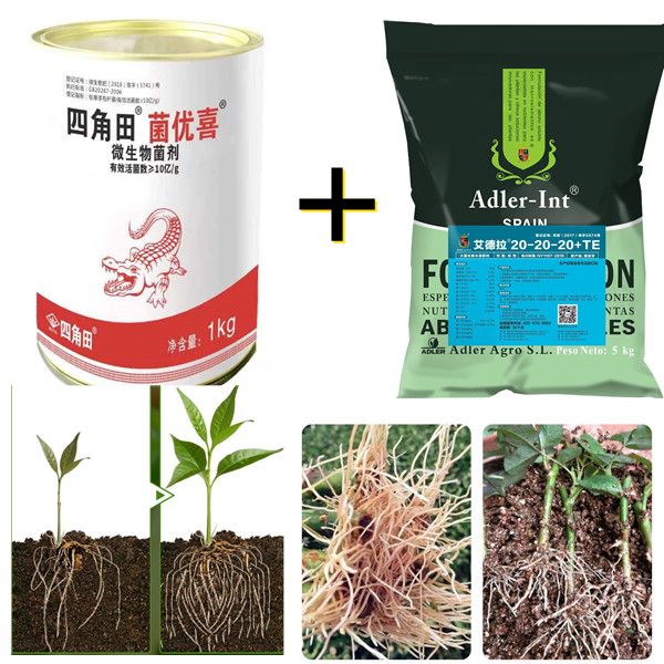 菌优喜加艾德拉三个20水溶肥促生根发苗爆发新根套组活菌壮根菌剂