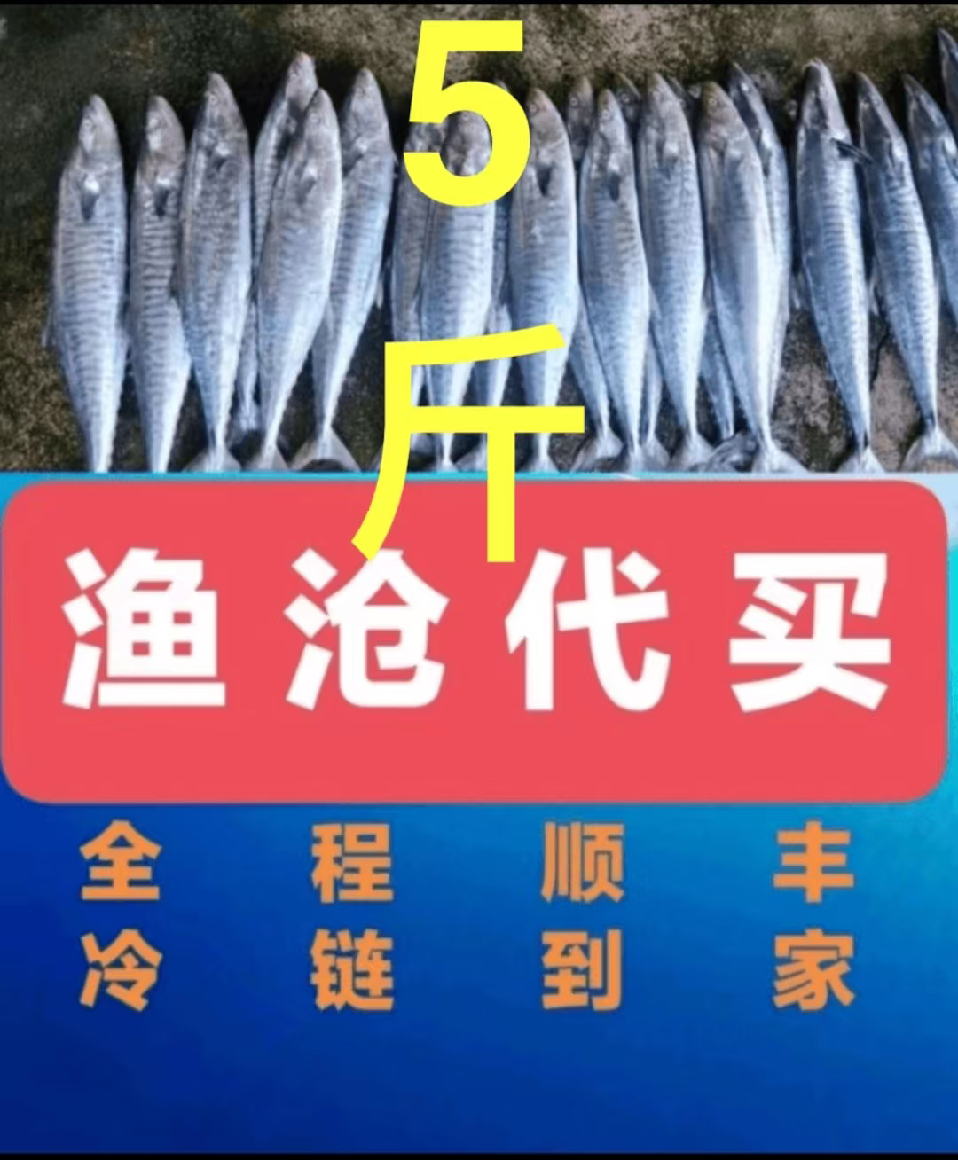 渔沧代买鱼虾蟹5斤装！