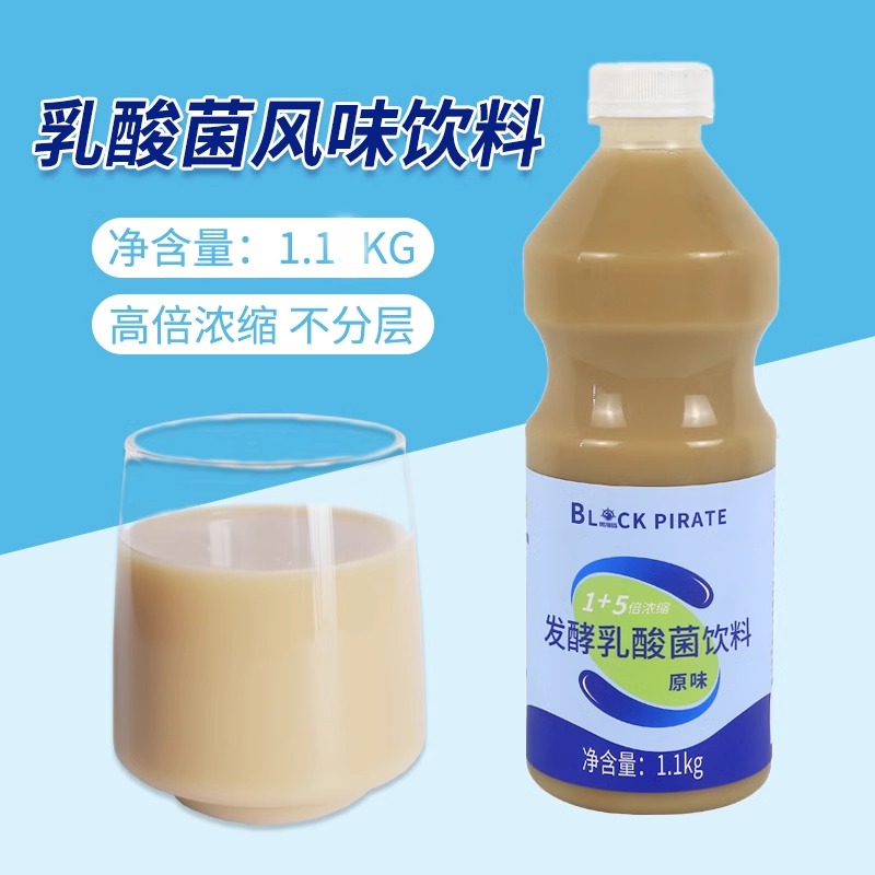 黑海盗1+5倍发酵乳酸菌1.1kg乳酸菌饮料乳酸奶益菌浓缩饮品奶茶
