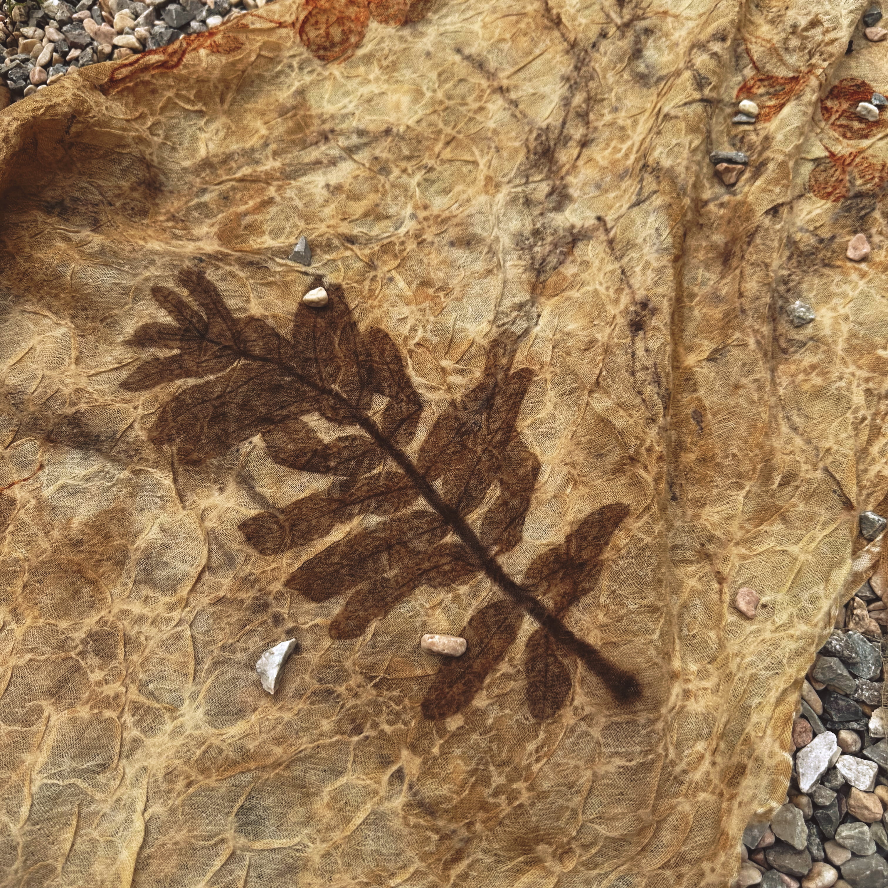 NatureDye【美侖美奂】OH312380植物染印花盐缩羊毛长围巾