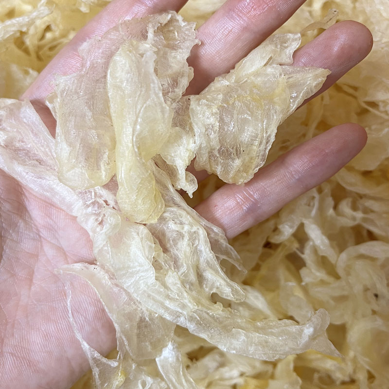 白花胶 边角料碎胶煲汤炖奶捡漏炖牛奶