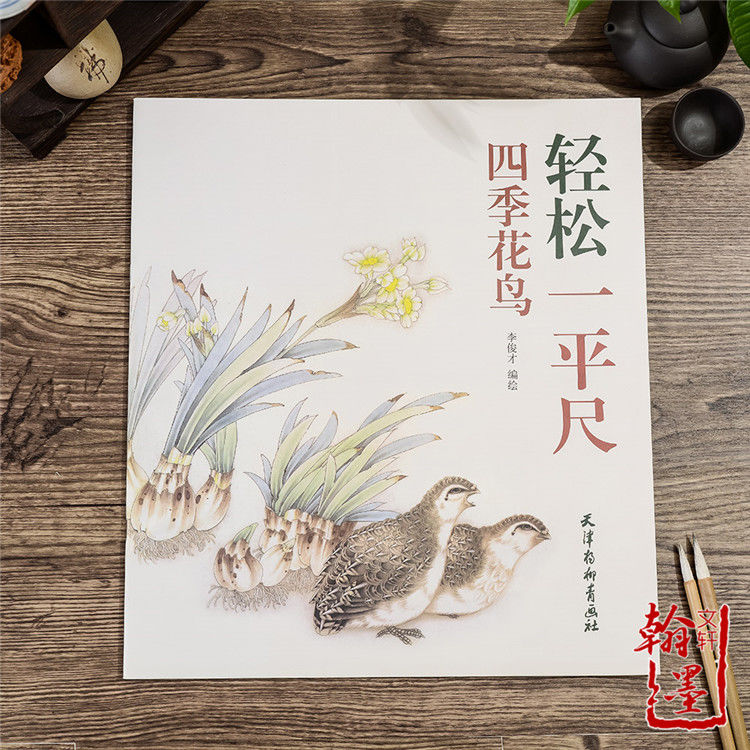 轻松一平尺 四季花鸟 国画工笔画花鸟白描直接过稿步骤详解