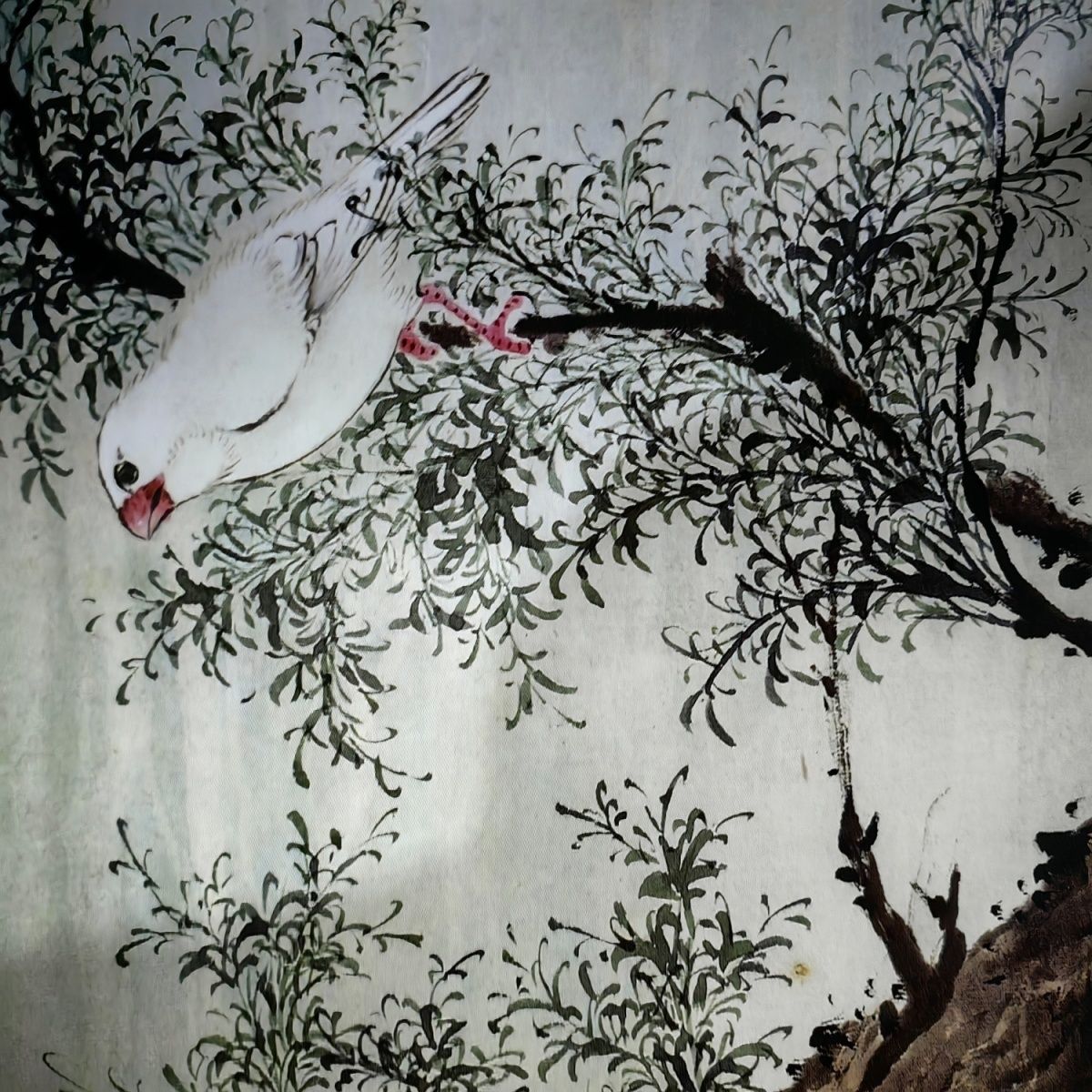 江花鸟百鸟绘卉图16开100页