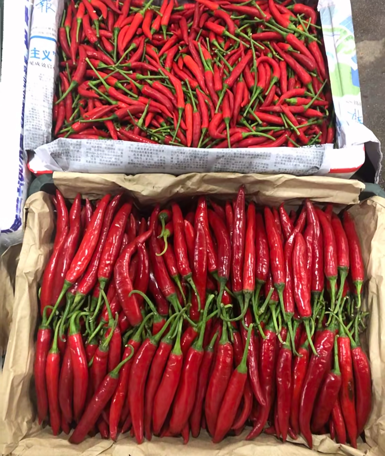 【必备调味】小米辣/包｜市场代购