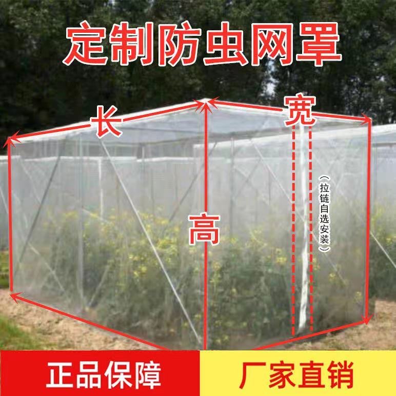 赶埠FC002果树防虫防鸟网罩加厚水果套袋子蚊虫果蝇针蜂蔬菜纱网