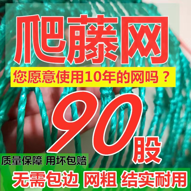 爬藤网种植网丝瓜百香果葡萄菊花网康乃馨罗汉果大棚防风倒扶网格