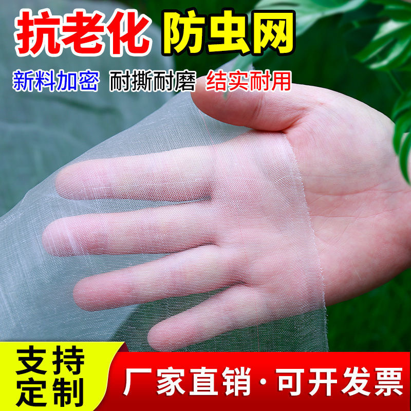 防虫网防鸟网农用蔬菜大棚加厚养殖场专用果园防蝇网养猪防蚊纱网