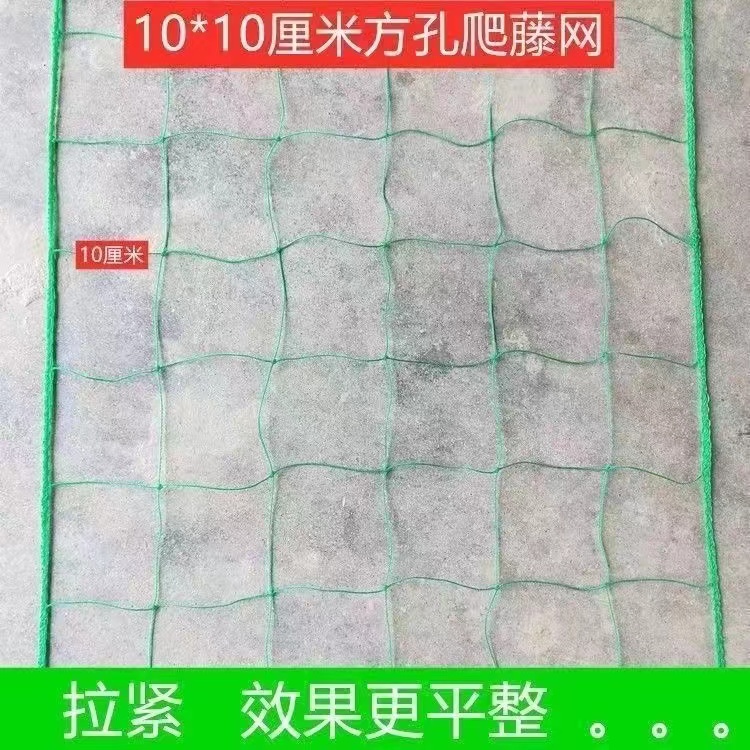  植物爬藤网百香果种植网丝瓜吊瓜葡萄爬藤网黄瓜月季花类爬藤网