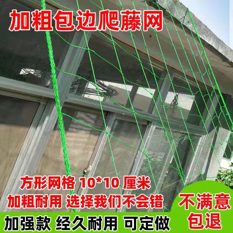 植物爬藤网百香果种植网丝瓜苦瓜吊瓜葡萄大棚加粗网格石斛豆角网