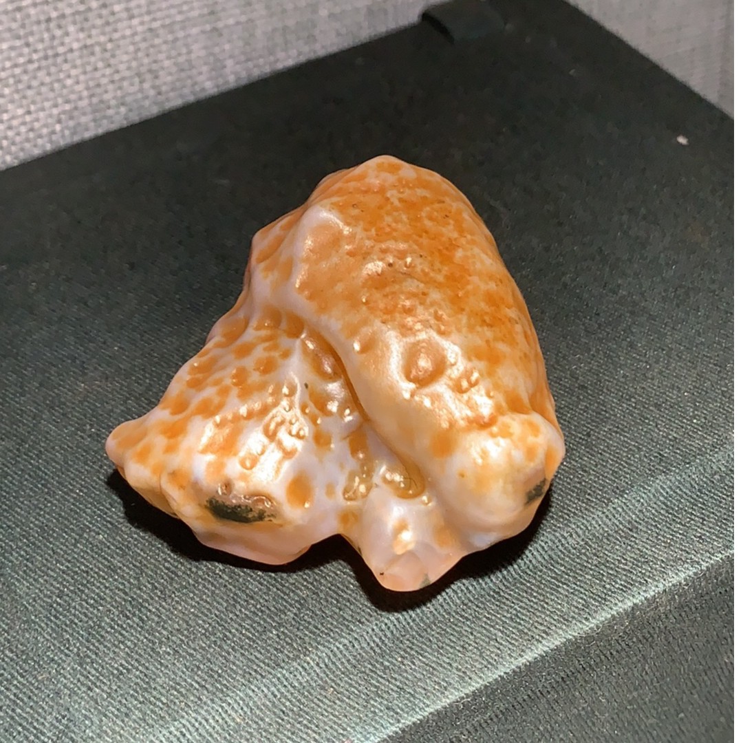 戈壁奇石家居摆件