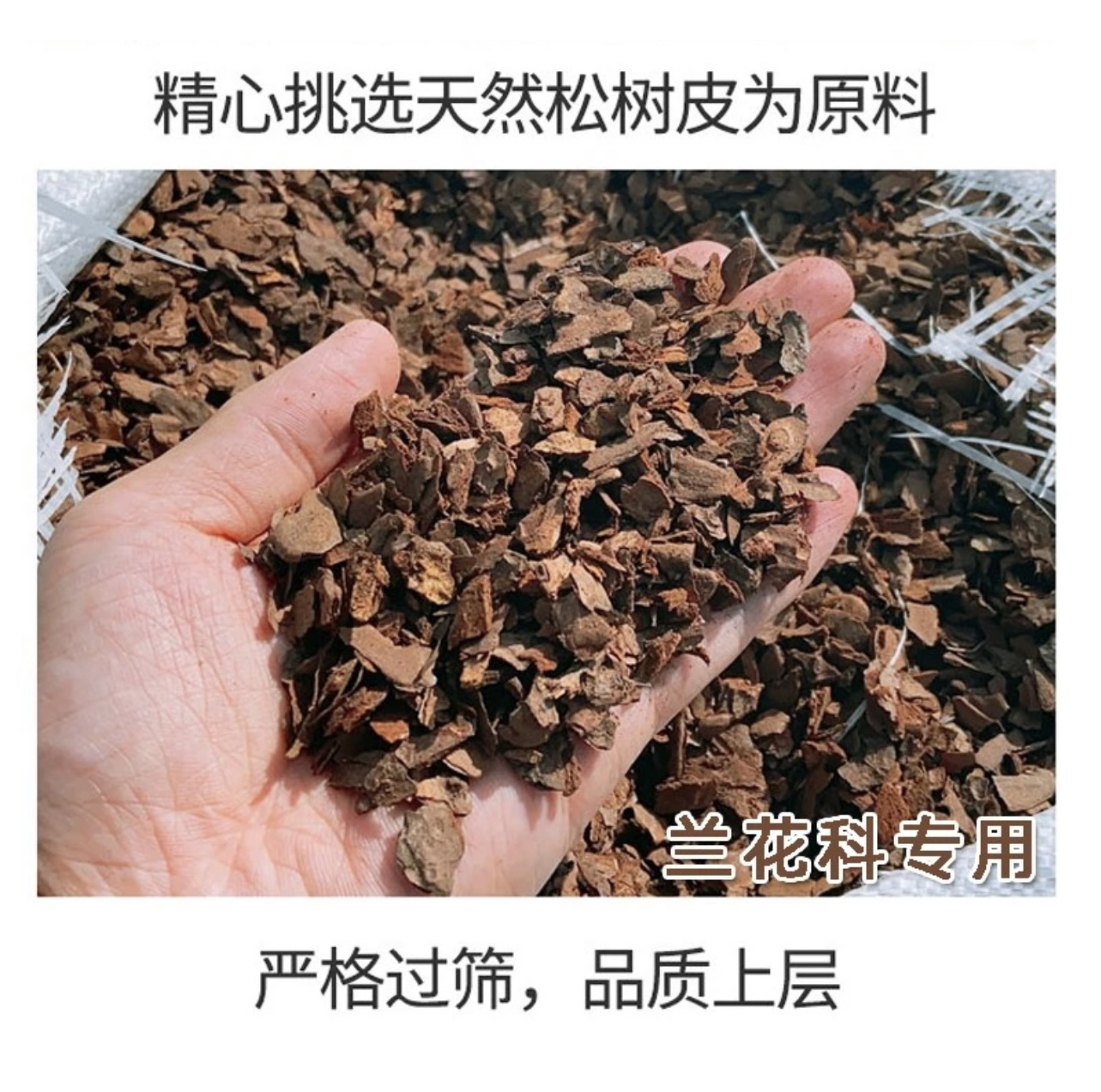 汀兰阁兰科专用松树皮经过杀菌发酵消毒保湿性强