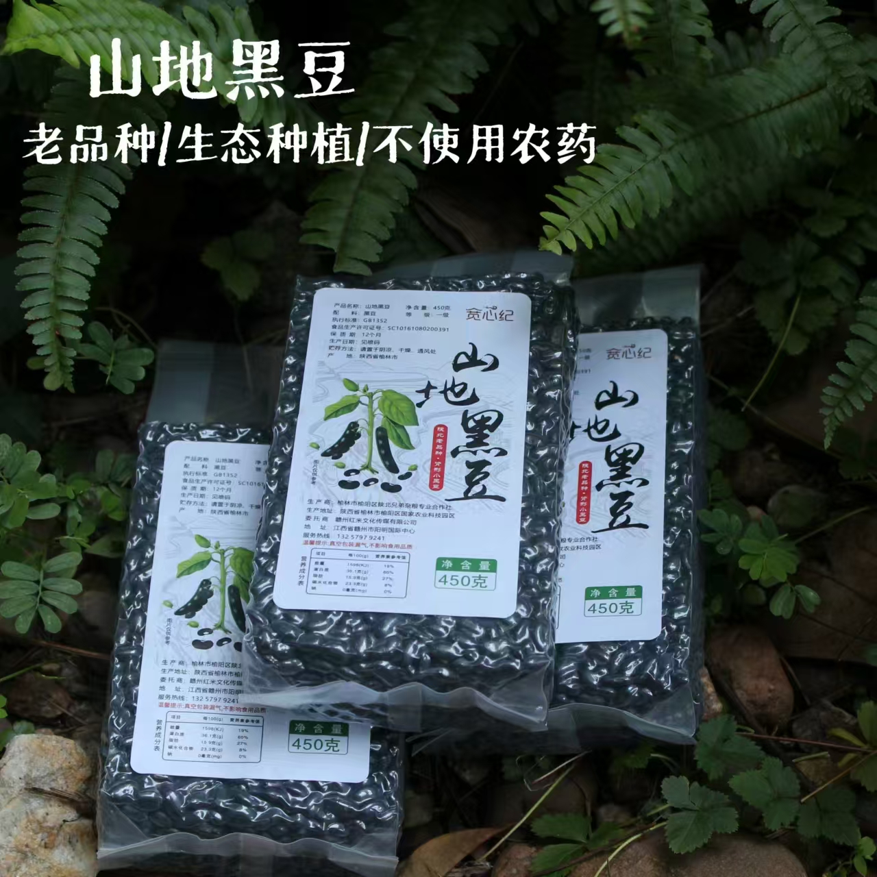 宽心纪定制老品种生态种植黑豆450g/5袋装