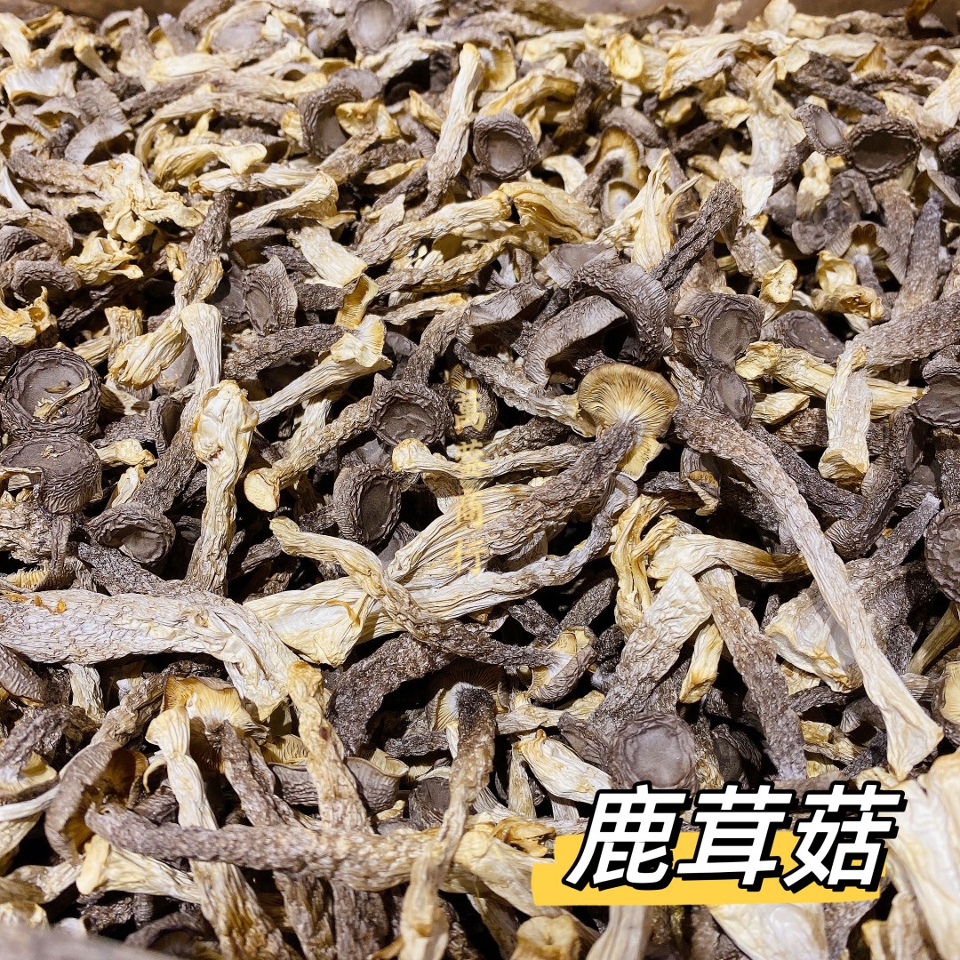 W【莹莹精选】鹿茸菇脆脆菇 口感爽脆