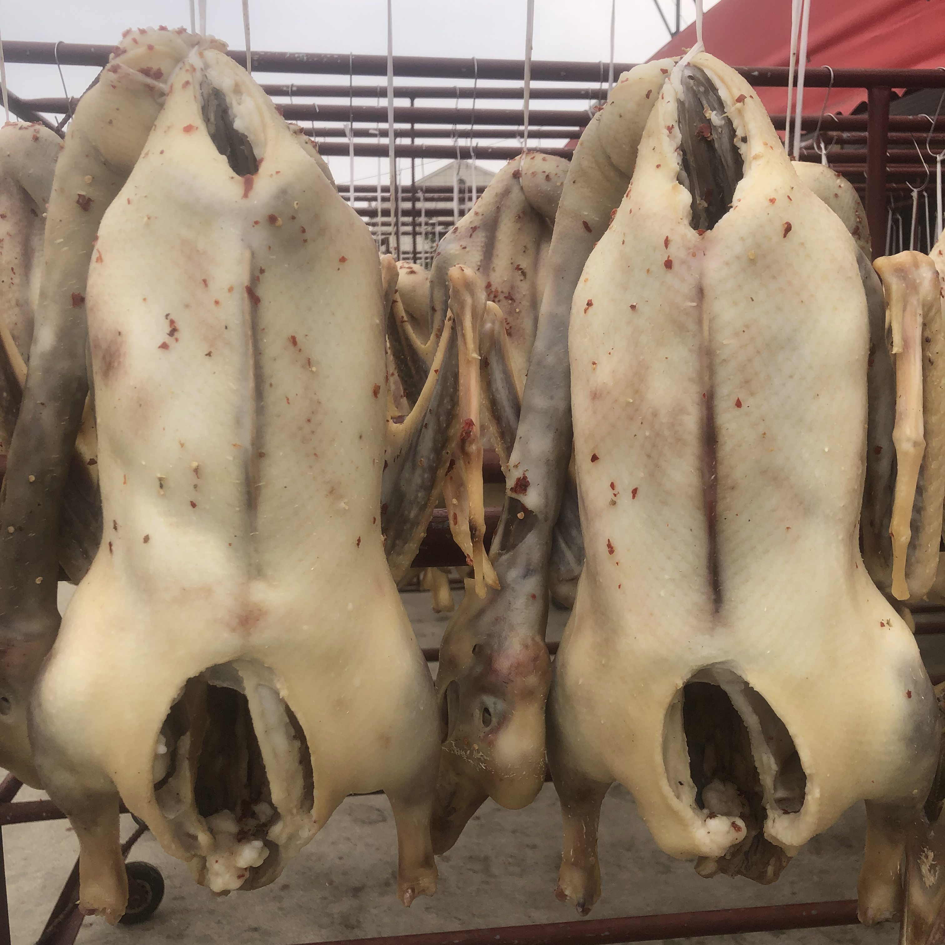 寿县特产两年老母鹅种腌制咸鹅手工腌制老母鹅