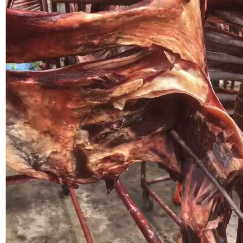 （1/4起拍）风干羊肉无盐无添加羊腿羊排炖汤酒店食材