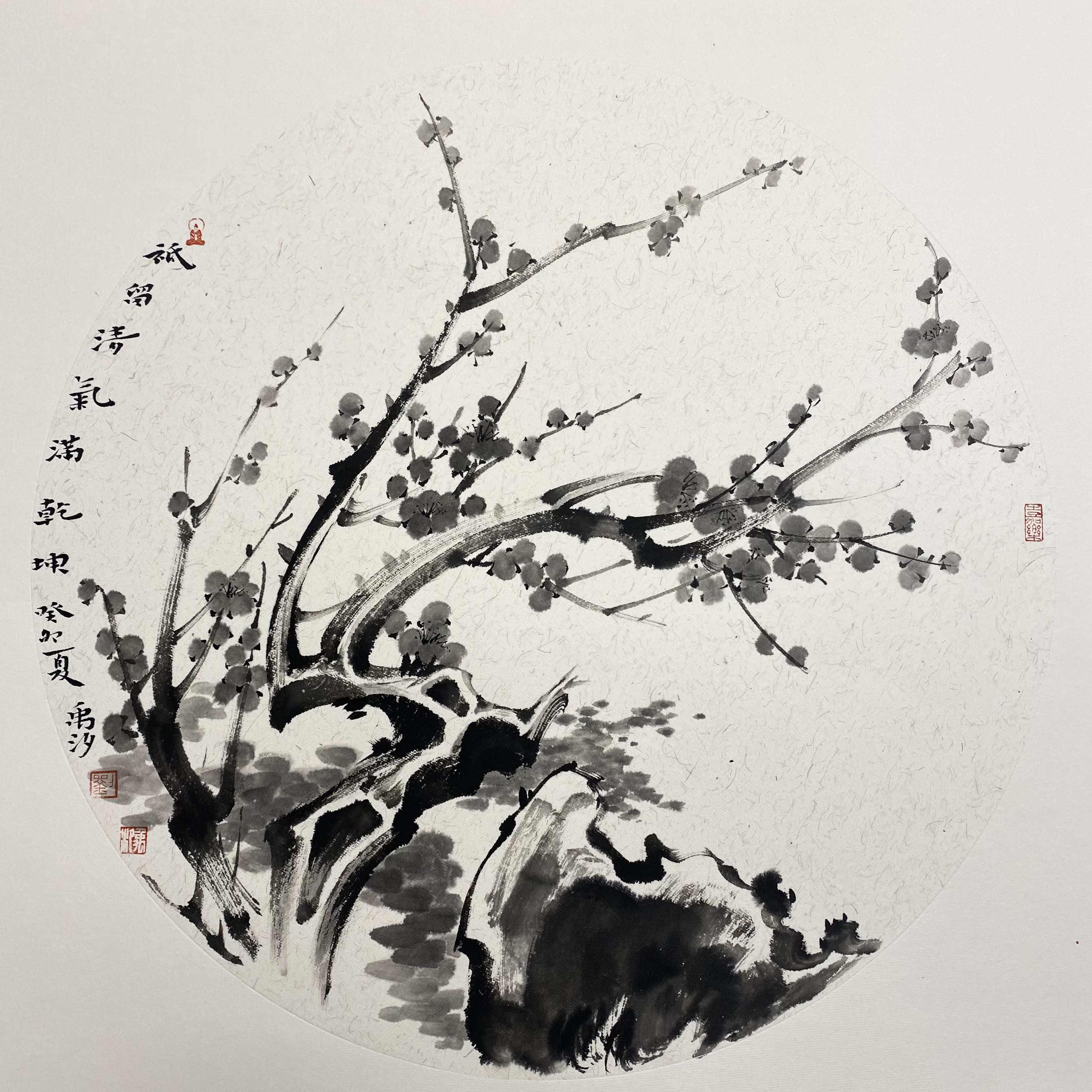 国画写意水墨梅花迎春图