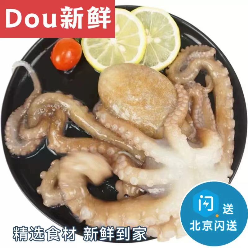 2-4条 500克 北京闪送 鲜活八爪鱼 章鱼 长腿八带鱼 海鲜水产