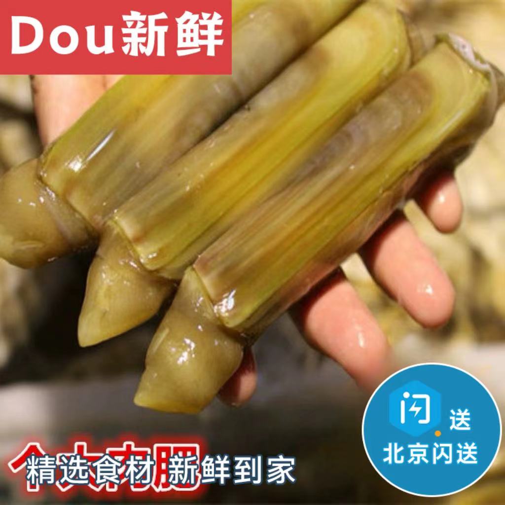 6-10只/斤 蛏子王 大个 海鲜鲜活 竹蛏王 新鲜水产