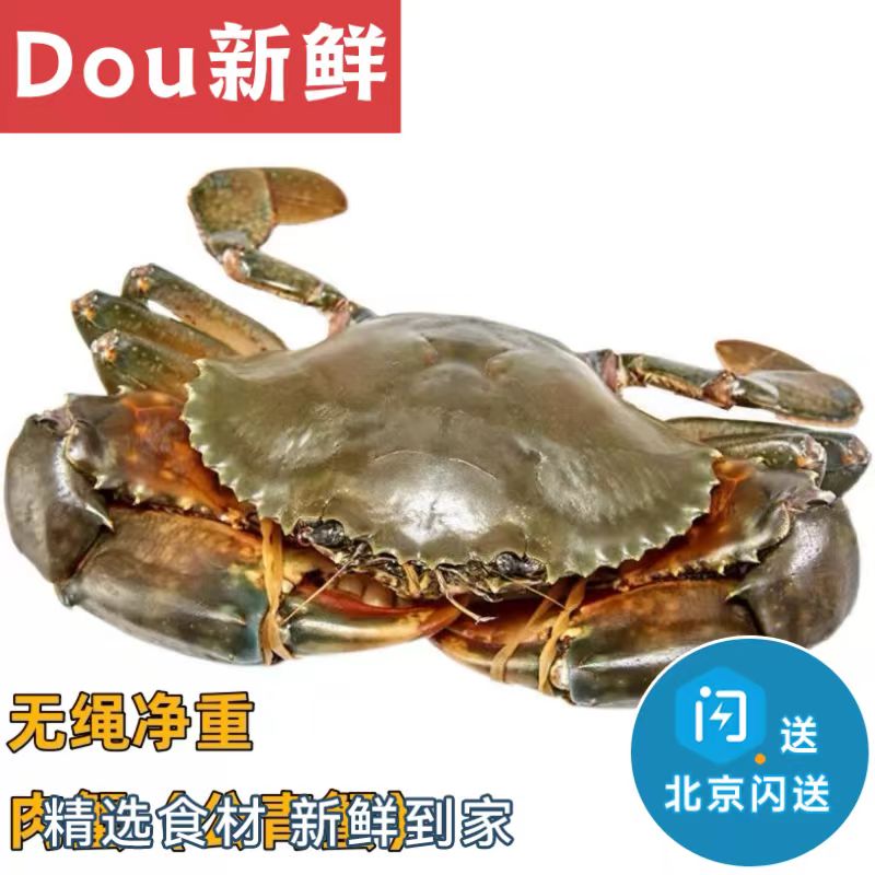公肉蟹 青蟹鲜活海蟹海鲜肉蟹煲 迷踪蟹 香辣蟹蟹同城配送